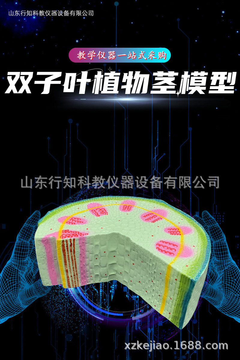 山东省菏泽市祥龙科教仪器厂(图1)