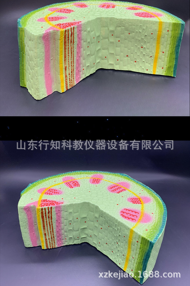 2026VR安全体验设备厂家推荐VR安全体验设备厂家优选指南